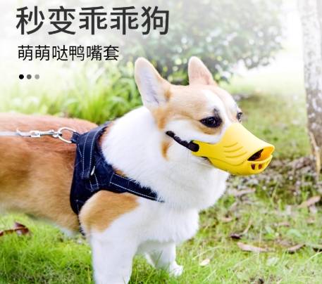 狗狗止吠工具 狗狗止吠工具