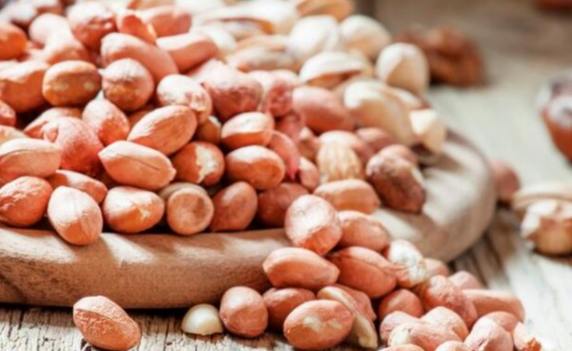 花生對狗的影響 花生對狗的影響