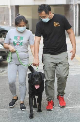 幼犬訓練班 幼犬訓練班