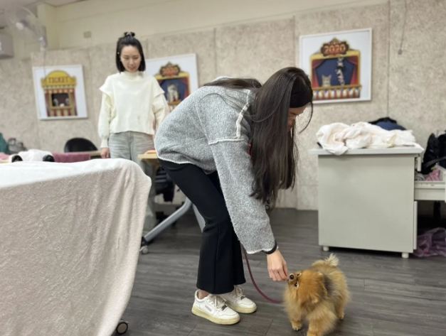 狗狗訓練課程 狗狗訓練課程