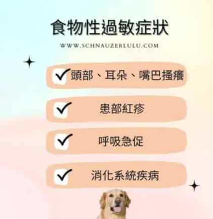 寵物過敏處理 寵物過敏處理