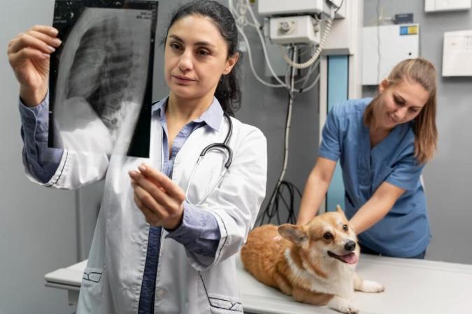 寵物肺腫瘤診斷