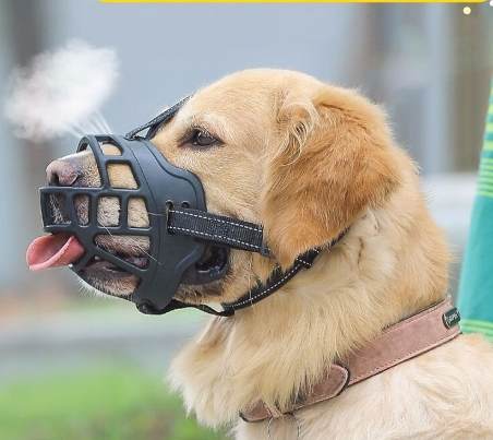 狗狗止吠工具 狗狗止吠工具