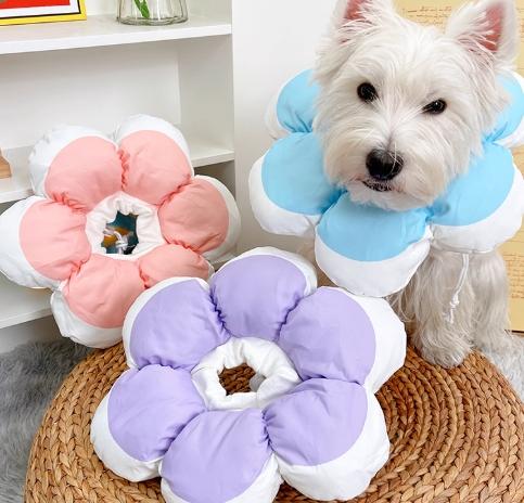 狗狗頭套品牌比較