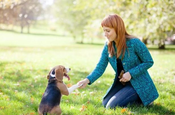 寵物死亡身體變化