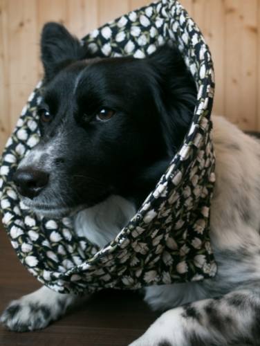 防咬頭套如何選擇