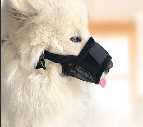 防吠狗嘴套 防吠狗嘴套