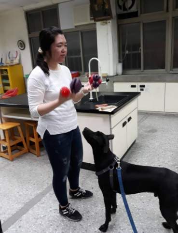 貓咪行為訓練 貓咪行為訓練