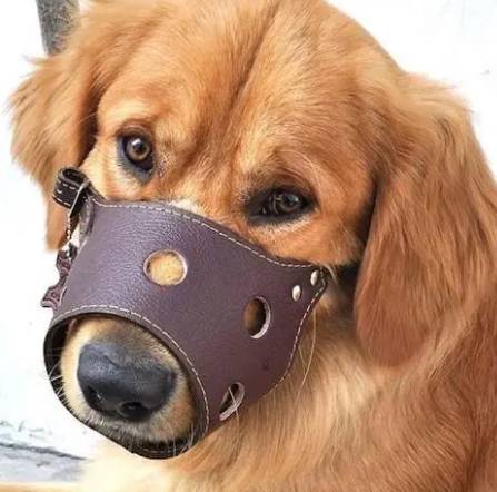 狗狗止吠工具 狗狗止吠工具