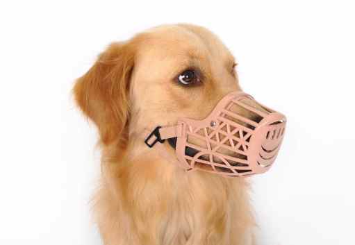 防吠狗嘴套 防吠狗嘴套
