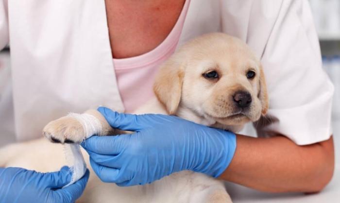 破傷風疫苗時效 破傷風疫苗時效