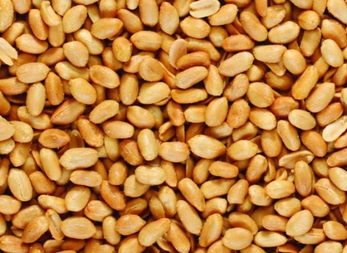 花生對狗的影響 花生對狗的影響