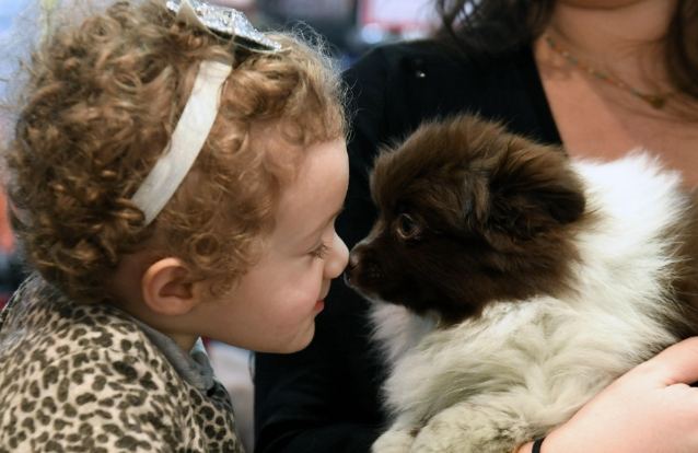 狗狗每日陪伴時間 狗狗每日陪伴時間