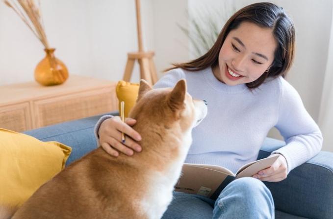 狗狗飼養心理 狗狗飼養心理