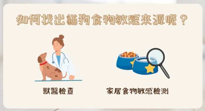 寵物過敏處理 寵物過敏處理