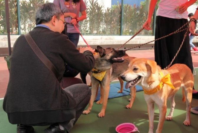 第一次養狗注意事項