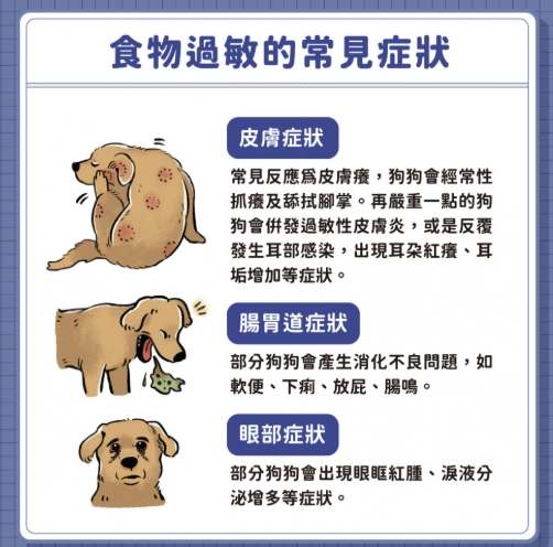 狗狗蝦過敏症狀 狗狗蝦過敏症狀