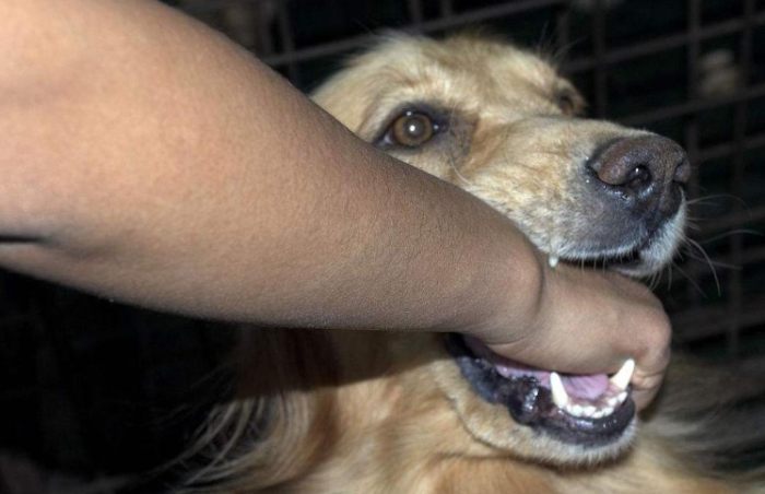 破傷風疫苗時效 破傷風疫苗時效