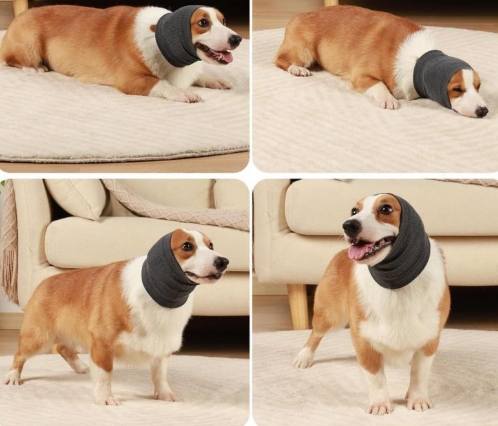 狗狗頭套如何选择