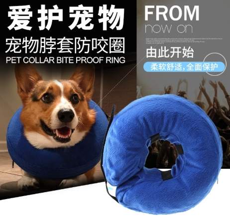 寵物頸圈