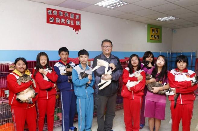 寵物訓練課程 寵物訓練課程