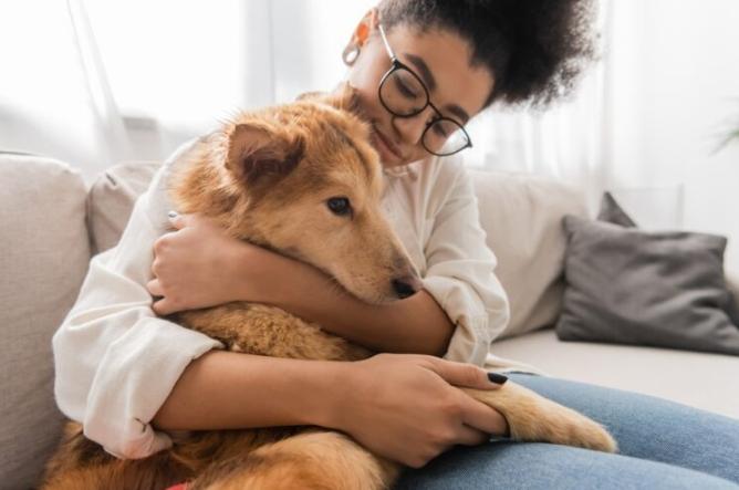 狗狗飼養心理 狗狗飼養心理