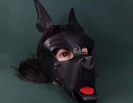 如何給狗戴頭套