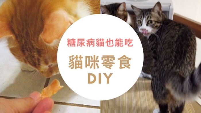 貓咪健康零食DIY