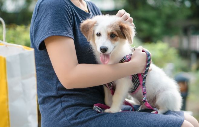 和解金談判 和解金談判