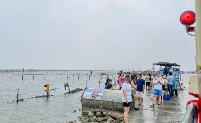 王功挖蛤蜊季節