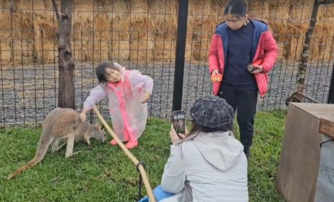 宜蘭袋鼠農場 宜蘭袋鼠農場