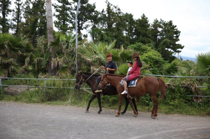 騎馬公園攻略 騎馬公園攻略