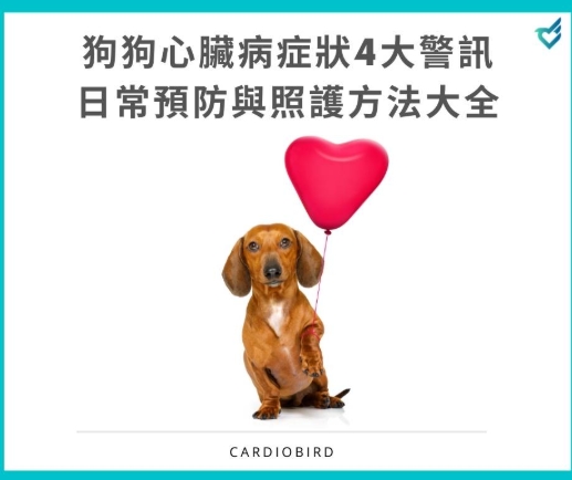 狗狗心臟肥大症狀 狗狗心臟肥大症狀