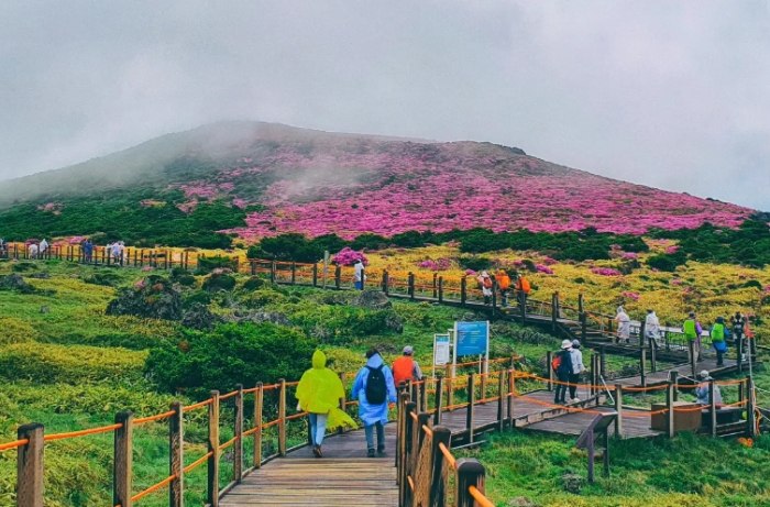 漢拏山登山交通 漢拏山登山交通