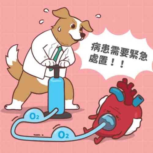 狗利尿劑推薦 狗利尿劑推薦