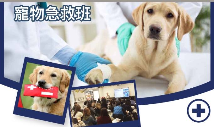 狗狗急救知識