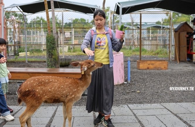 宜蘭袋鼠農場 宜蘭袋鼠農場