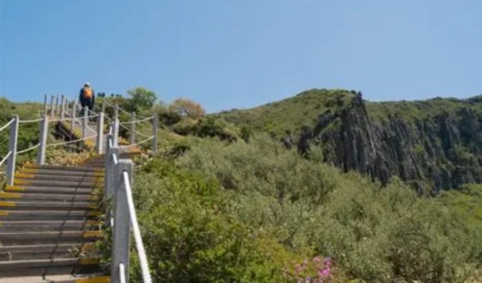 漢拏山登山攻略 漢拏山登山攻略