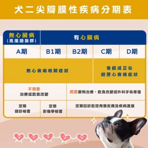 犬心臟病治療