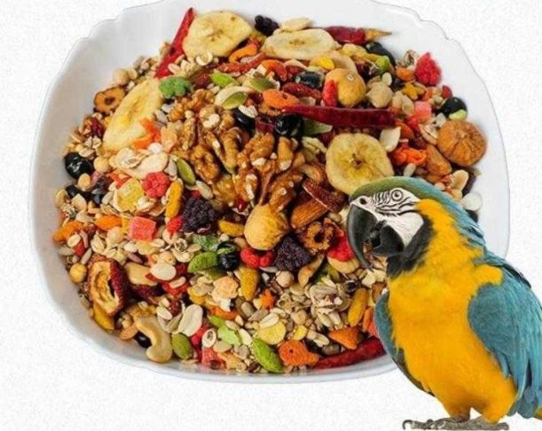 蔬菜煮熟必要性