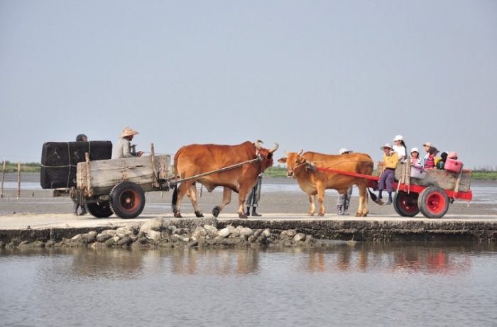 王功漁港美食 王功漁港美食