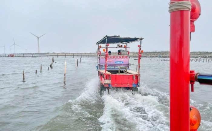 挖蛤蜊工具推薦 挖蛤蜊工具推薦