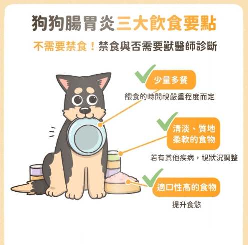 腎衰竭狗狗食物