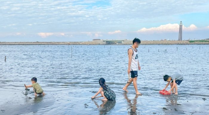 潮間帶生態旅遊 潮間帶生態旅遊