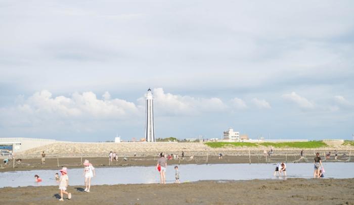 潮間帶生態體驗 潮間帶生態體驗