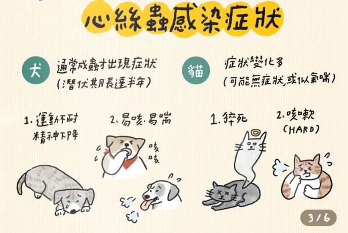 心絲蟲預防方法