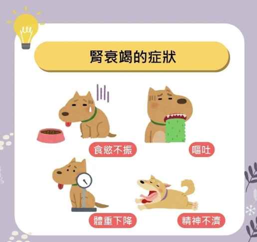 腎衰竭第三期症狀