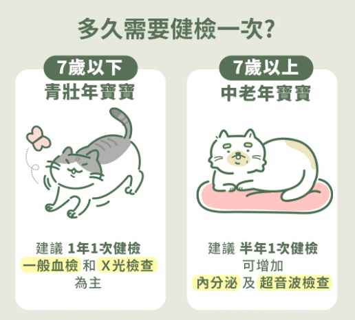 貓腎衰竭二期 貓腎衰竭二期