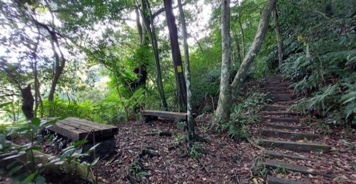 白雞山登山路線