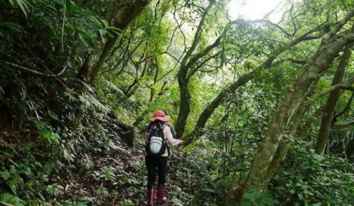 雞心尖路線 雞心尖路線